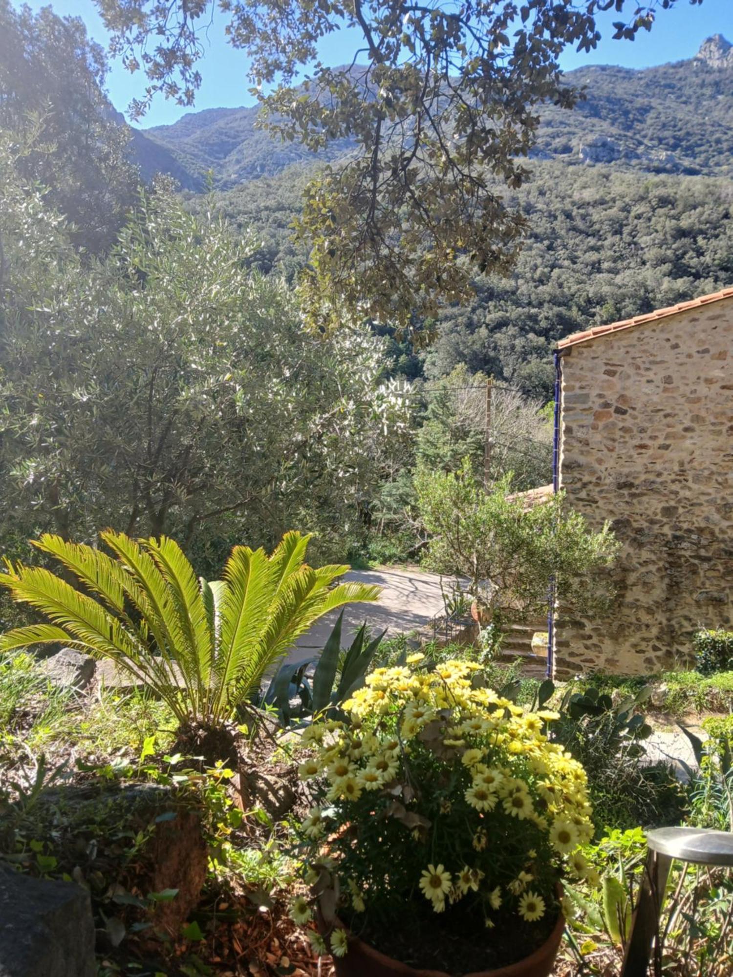 La Bergerie Villa โซเรด ภายนอก รูปภาพ